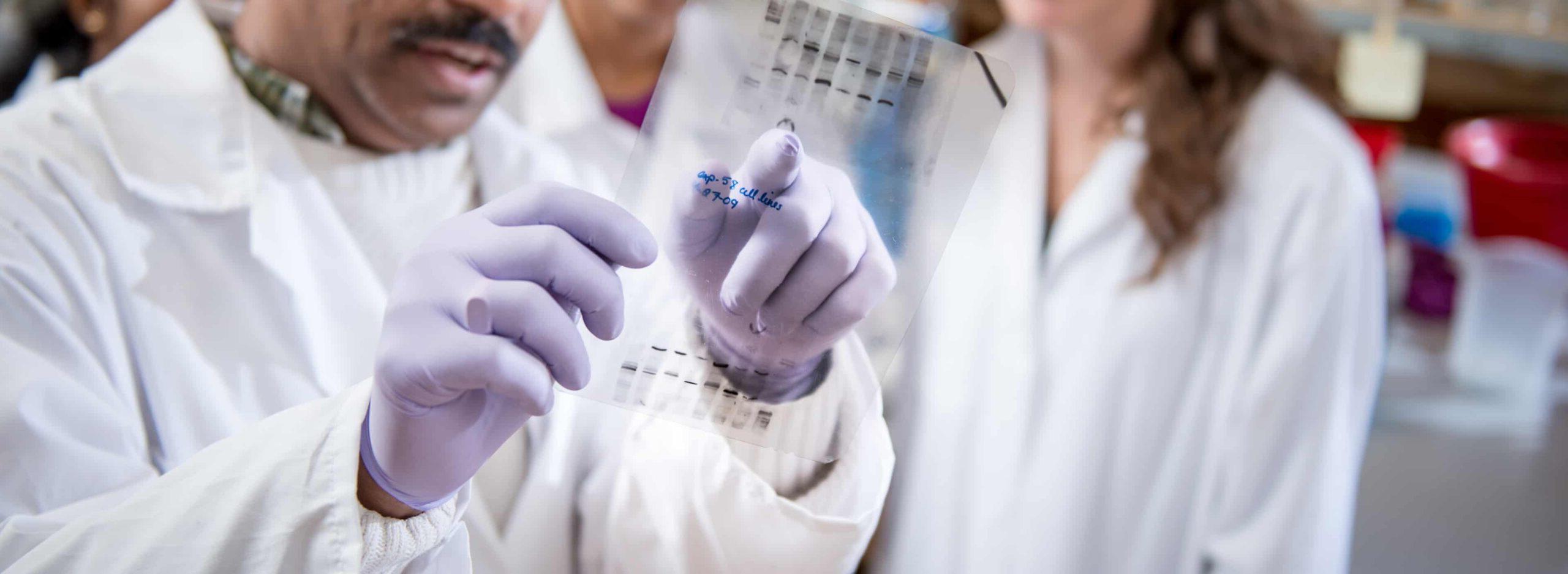 Biologist inspecting lab print