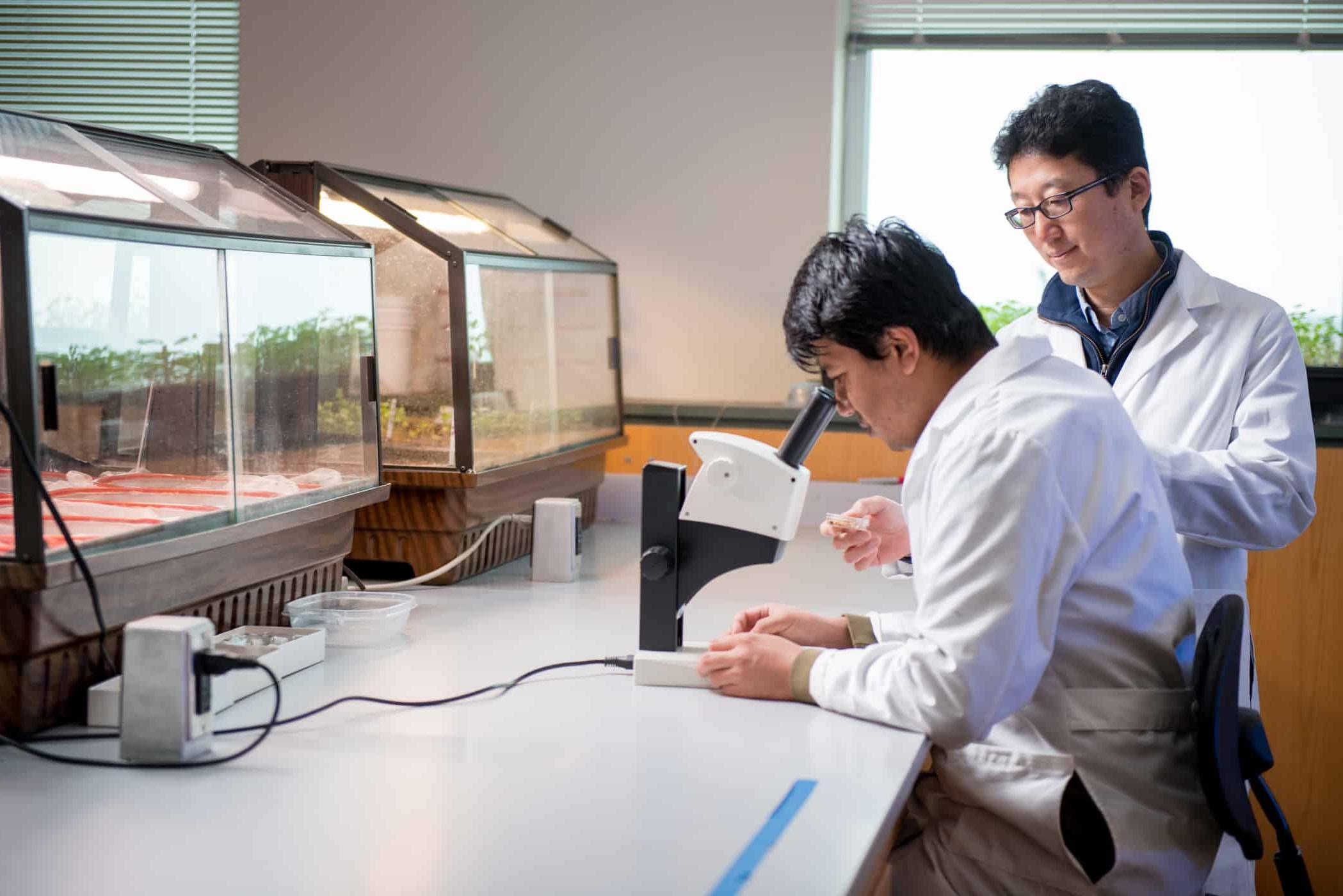 Students looking into microscope in Biology lab