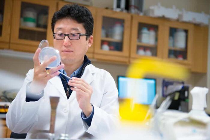 Student working in Biology research lab